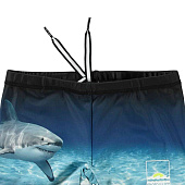 Купить Плавки Molo в Иркутске