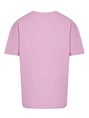 Купить Футболка ALESSANDRO BORELLI в Иркутске