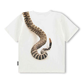 Купить Футболка Molo в Иркутске