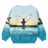 Купить Джемпер Molo в Иркутске