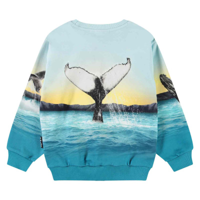 Купить Джемпер Molo в Иркутске