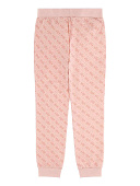 Купить Брюки GUESS G66D в Иркутске
