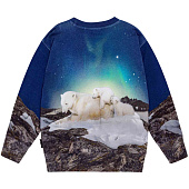 Купить Толстовка Molo в Иркутске