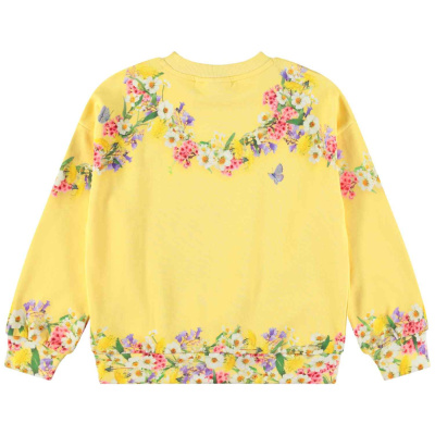 Купить Джемпер Molo в Иркутске