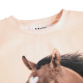 Купить Футболка Molo в Иркутске