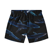 Купить Шорты Molo в Иркутске