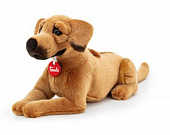 Купить Родезийский риджбек Trudi в Иркутске