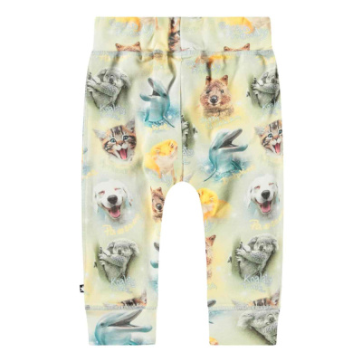 Купить Брюки Molo в Иркутске