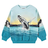 Купить Джемпер Molo в Иркутске