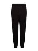 Купить Спортивные штаны Alessandro Borelli в Иркутске