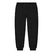 Купить Спортивные штаны Molo в Иркутске