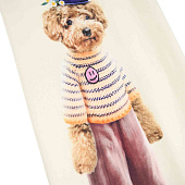 Купить Брюки Molo в Иркутске