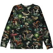 Купить Толстовка MOLO в Иркутске