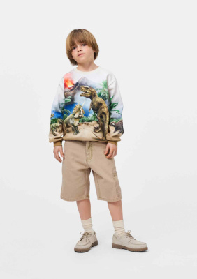 Купить Шорты Molo в Иркутске